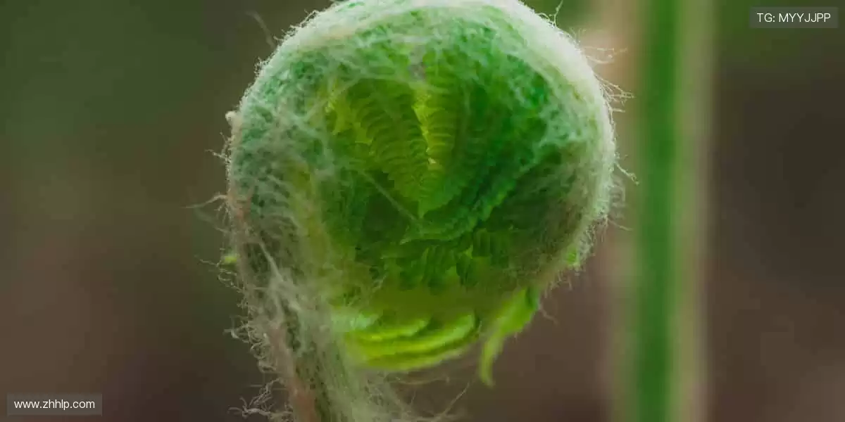 🏆全球赛事，一键直达！⚽️